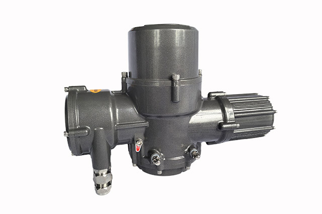 EQ系列智能一體化開關(guān)防爆型+HART